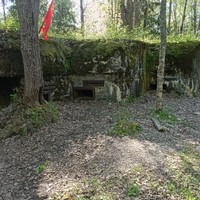 Фото отзыва 1: экскурсия "Из Петербурга — на линию Маннергейма: советско-финская война"