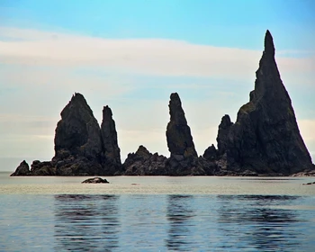 Бухта Врангеля: пешие прогулки, наблюдение за китами