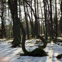 Фото отзыва 1: экскурсия ""