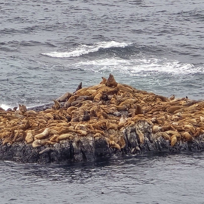 Это было очень длинное и увлекательное путешествие. Одна только дорога – настоящий аттракцион сродни американским горкам