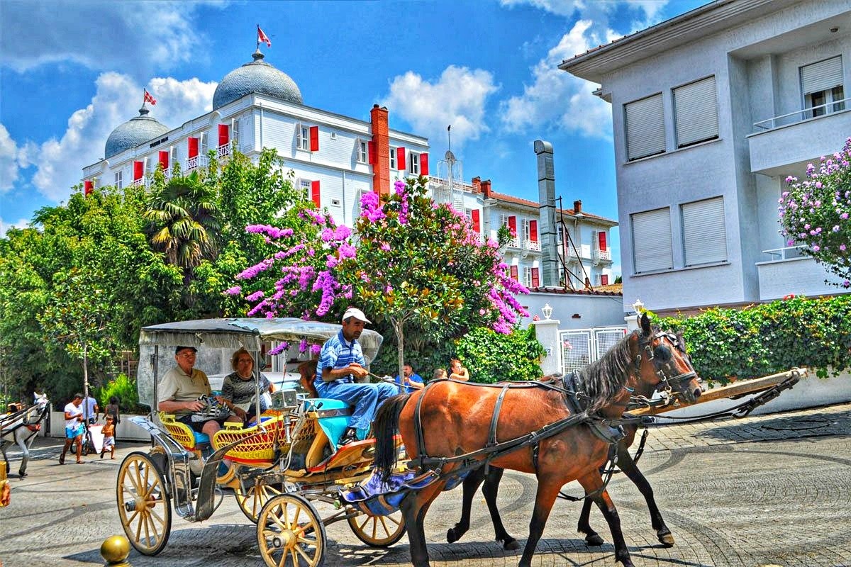 Один день на Большом острове (9/9)