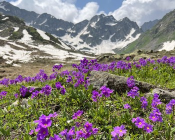 Прогулка к Аджарскому водопаду, обед у воды и завершение тура