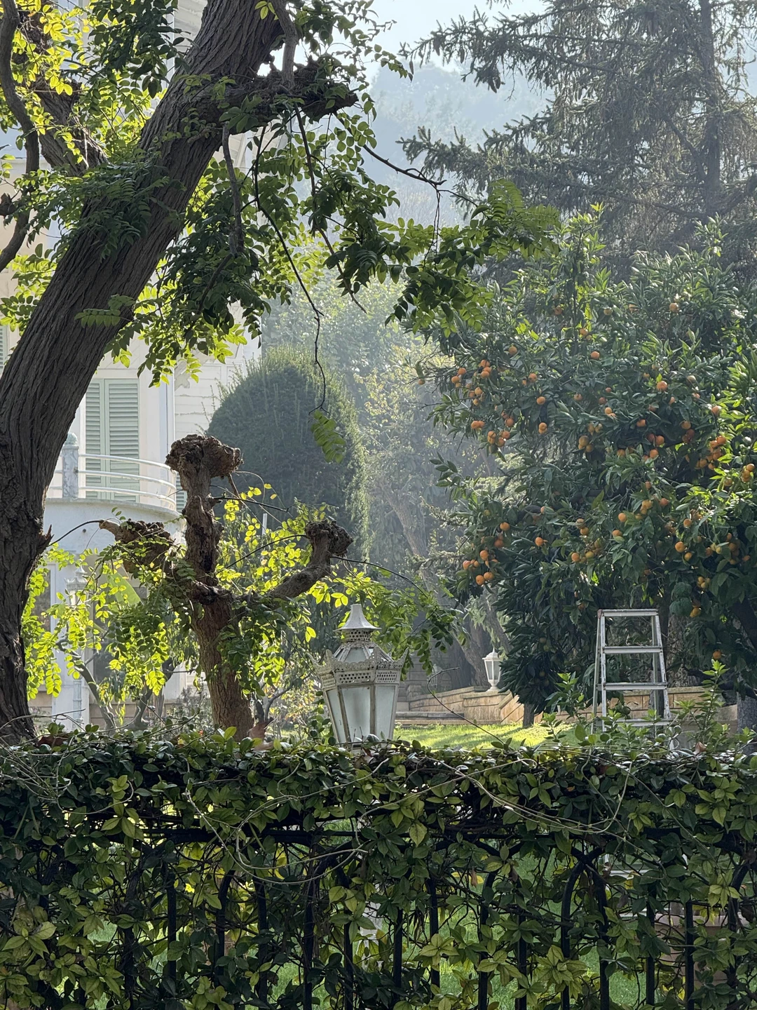 Были на экскурсии компанией друзей с детьми. Не заметили как пролетел день! Благодаря Лидии, Принцевы острова