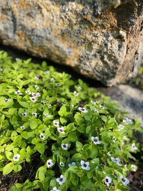 Виды Абрам-мыс, гора Мишукова и водопад за 1 день!