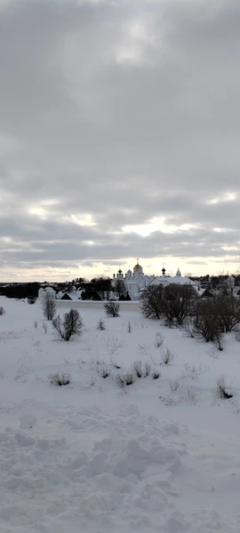 Пешая экскурсия в морозный день далась нам непросто, но гид Илья так виртуозно и с юмором
