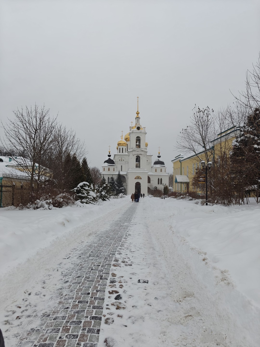 Спасибо Ольге за экскурсию. Прогулка понравилась, очень подробно узнали про город. Отдельно хочу отметить эрудицию Ольги