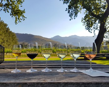 Винный день