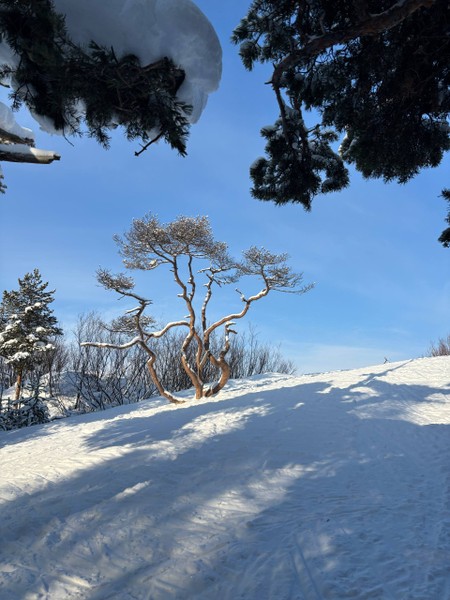 Невероятно интересная и познавательная экскурсия, Сергей замечательный рассказчик и кладезь полезной информации. Отправляясь с подругой на