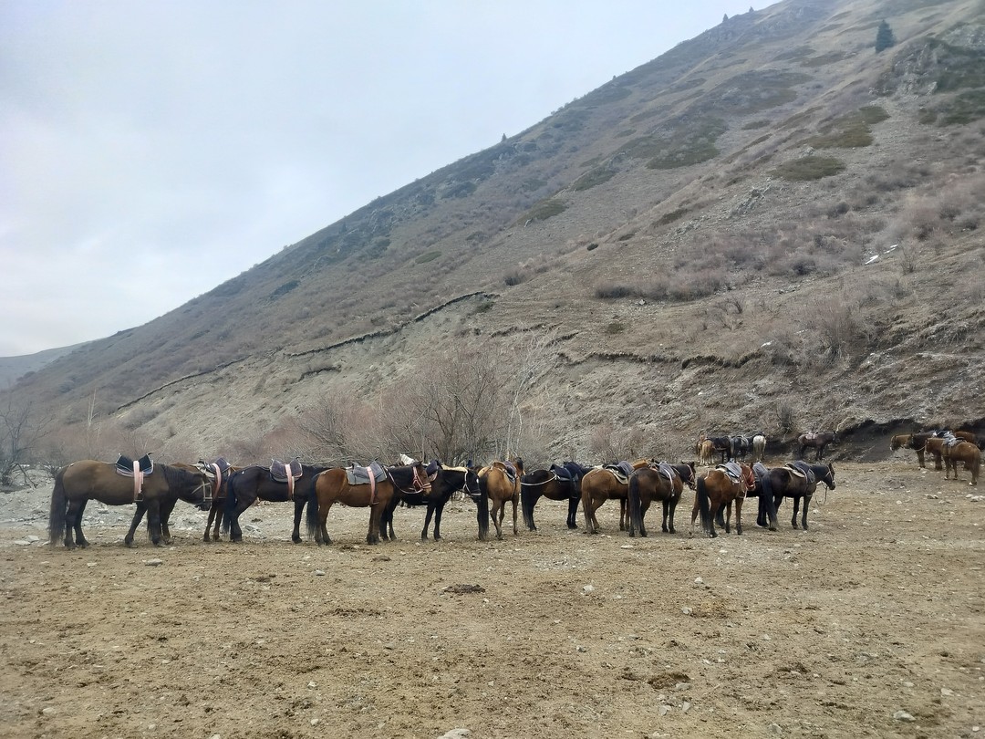 Замечательные организаторы. Внимательные к деталям и к каждому участнику
