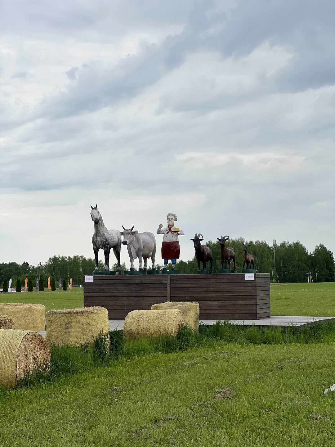 Городецкий край - русская Финляндия (из Нижнего Новгорода) (Екатерина)