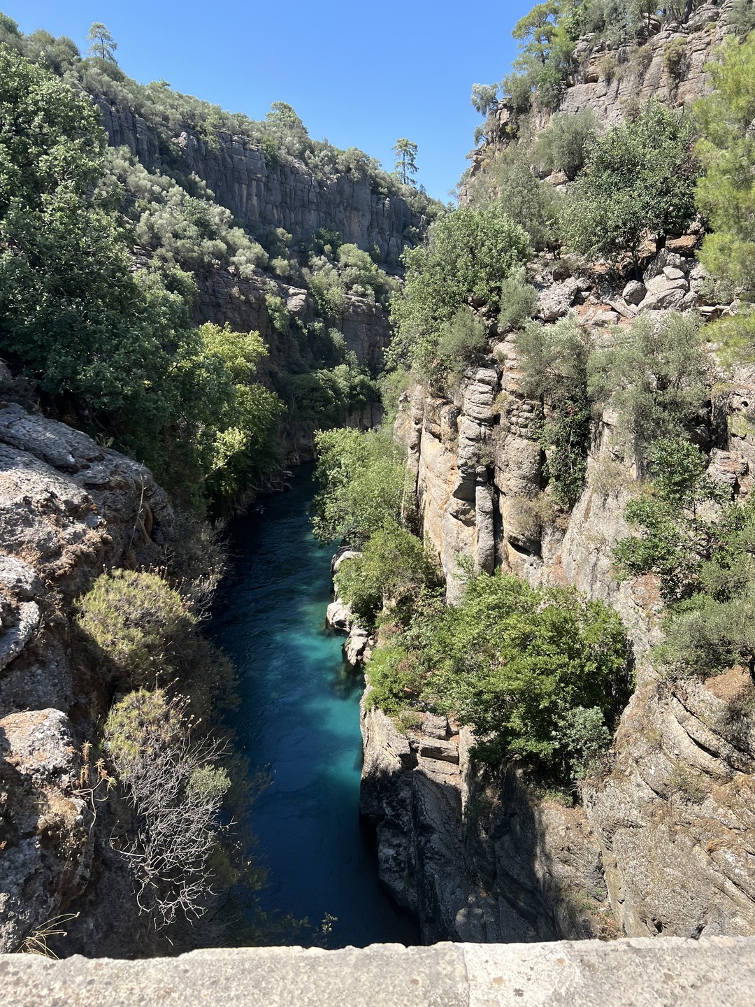 Поездка оставила море положительных впечатлений. Единственное, что вызывало неудобства - хромающая организация на базе. Было непонятно,