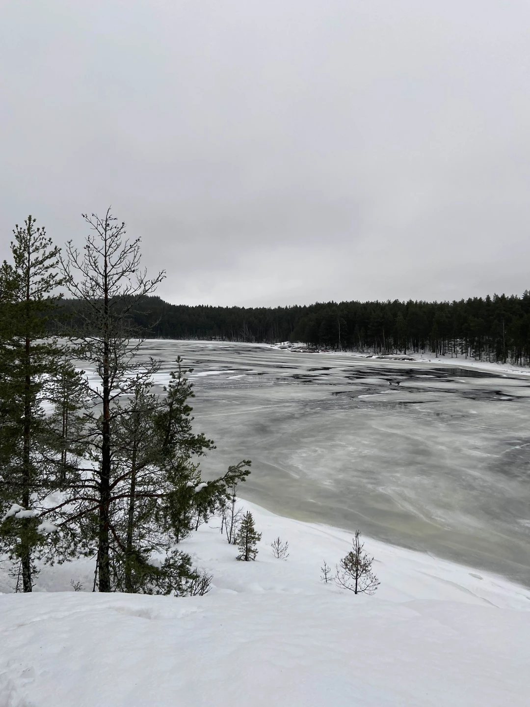 По ладожским шхерам круглый год - на аэролодке (Анастасия)