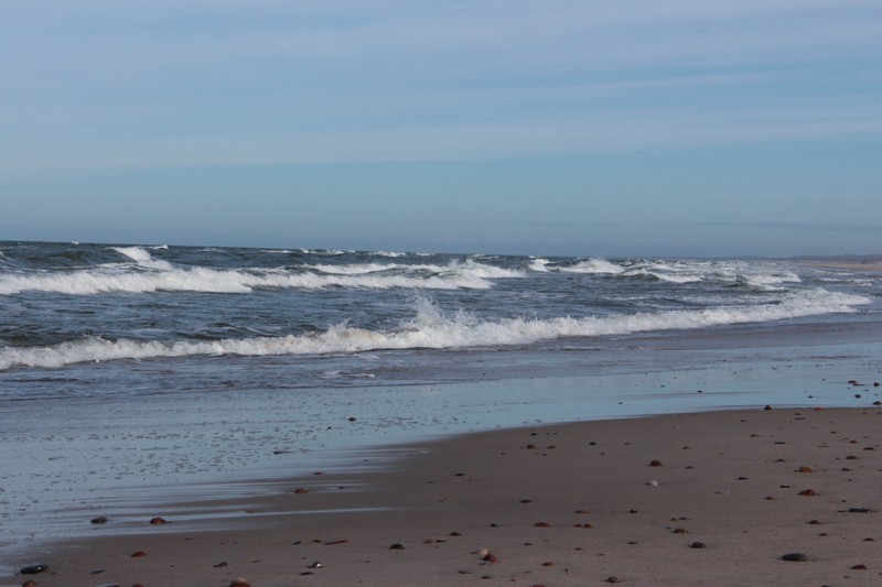Виды Куршская коса: земля древних куршей и великанши Неринги (из Калининграда)