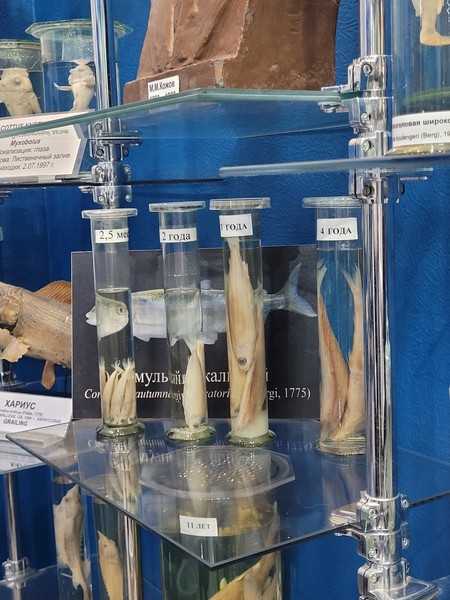 Спасибо Олегу за проведенную экскурсию. Заранее все обговорили, обсудили план поездки, даже кафе забронировали на нужное