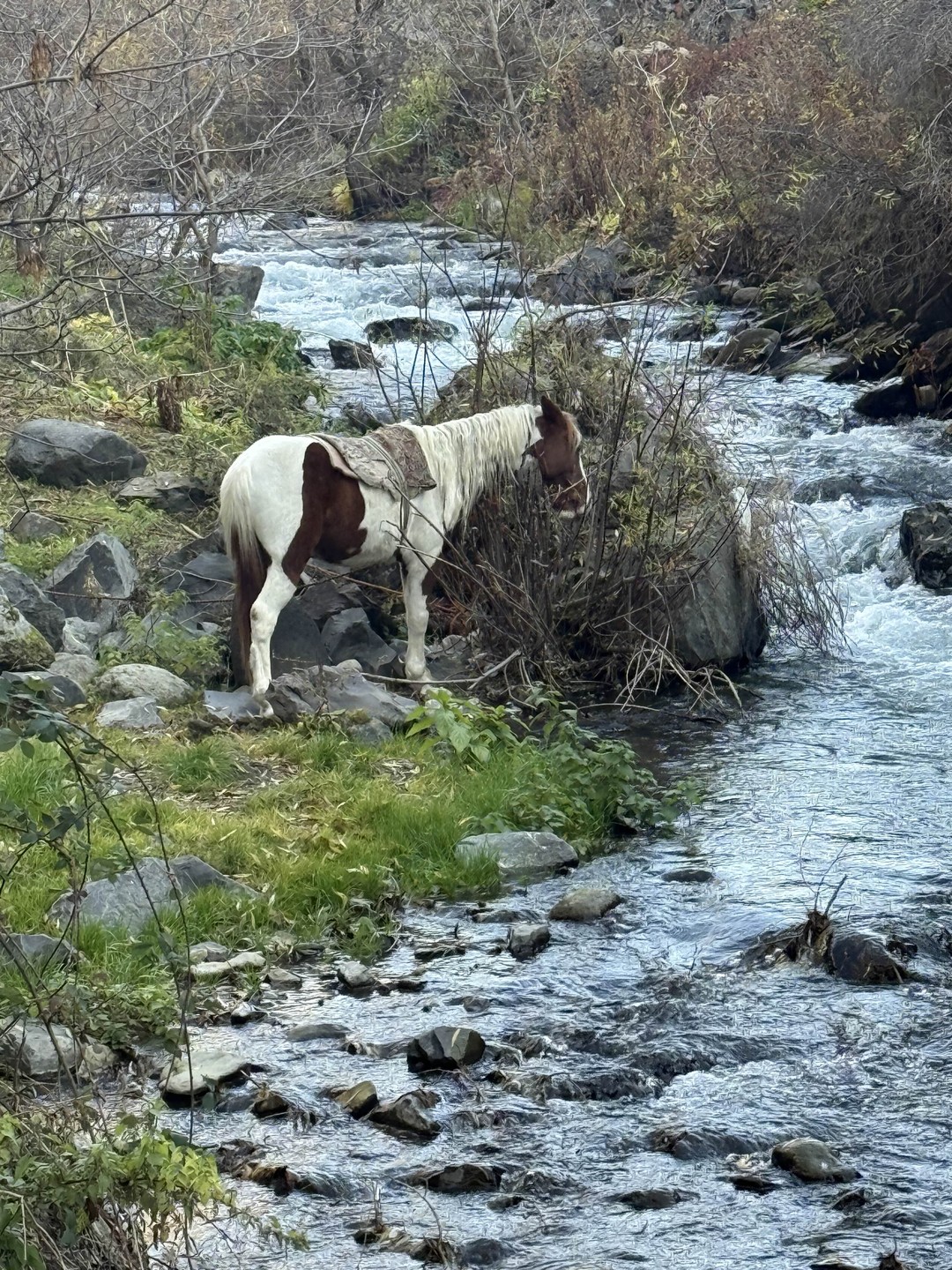 Спасибо Арарату за сказочную Армению. Арарат- очень душевный и заботливый гид. Все было легко, доступно, интересно