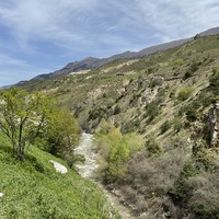 Фото отзыва 3: экскурсия "Горная Дигория: Задалеск, Камунта, Галиат"