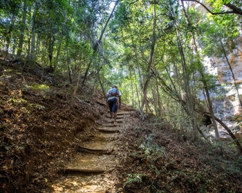 Большие и Малые Цинги