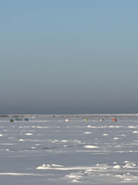 Были в конце января 2026.