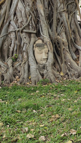 Сегодня были на экскурсии в Аюттайе — и это было одно из самых сильных впечатлений за