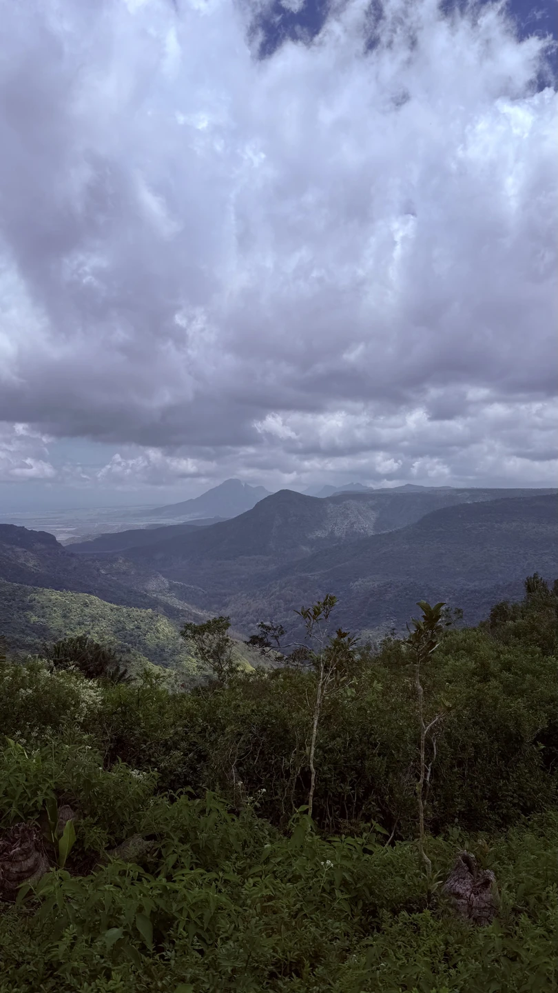 Ездили на экскурсию с Ольгой, все прошло невероятно замечательно, получили большое удовольствие от поездки! Ольга рассказывала