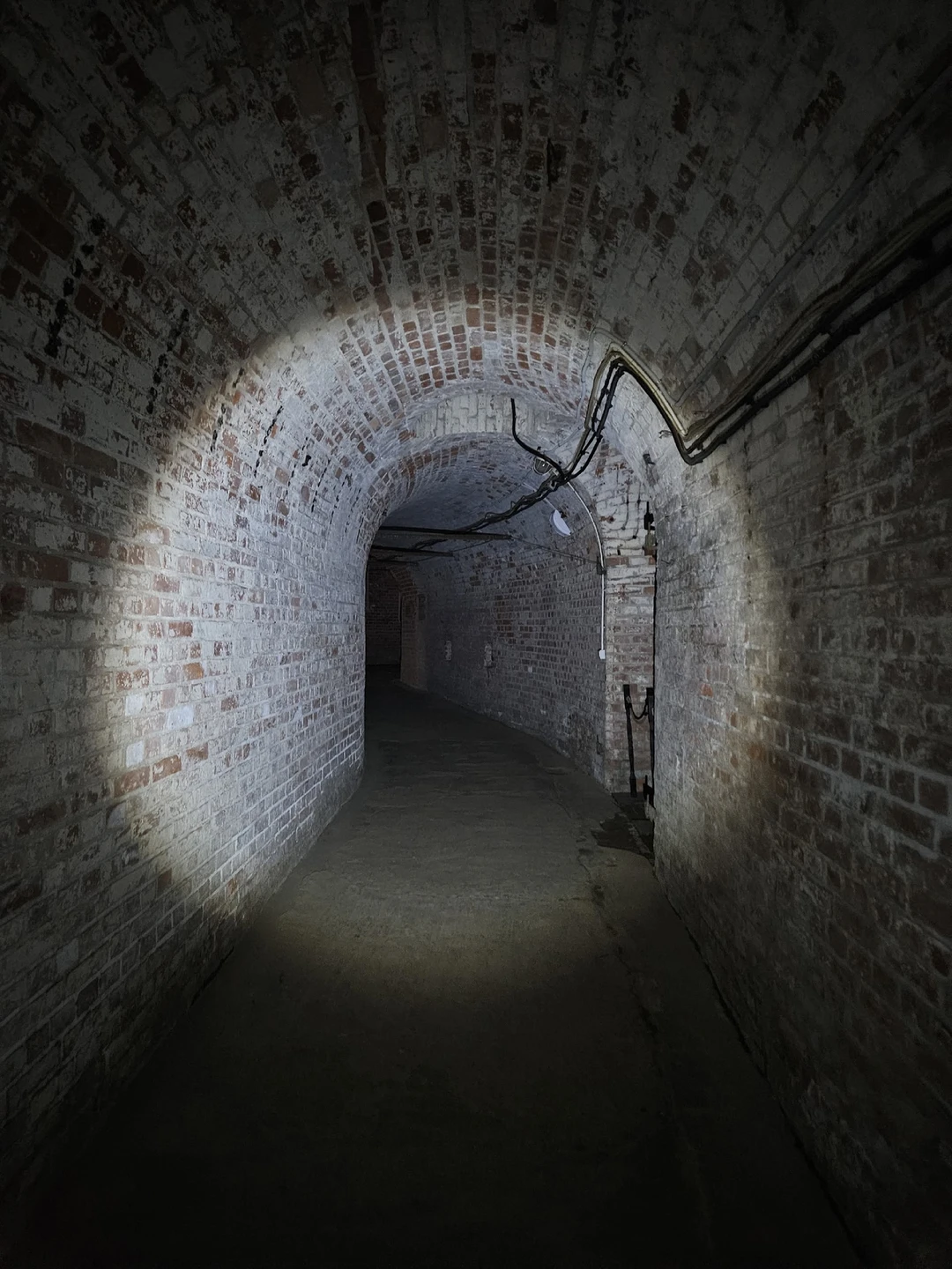 Ночная жизнь форта № 11 «Дёнхофф» (Светлана)