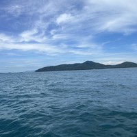 Фото отзыва 2: экскурсия "Индивидуальная морская прогулка со снорклингом и остановкой на Pig Island"