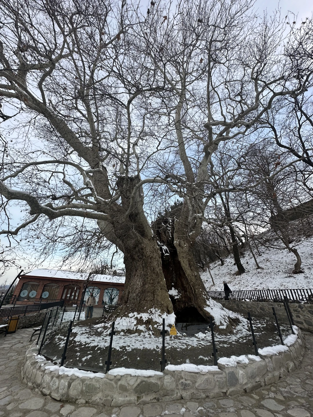 Благодарю экскурсовода Тимура за содержательную экскурсию! Очень хорошо владеет материалом. Отвечает на все вопросы. Вежлив, доброжелателен