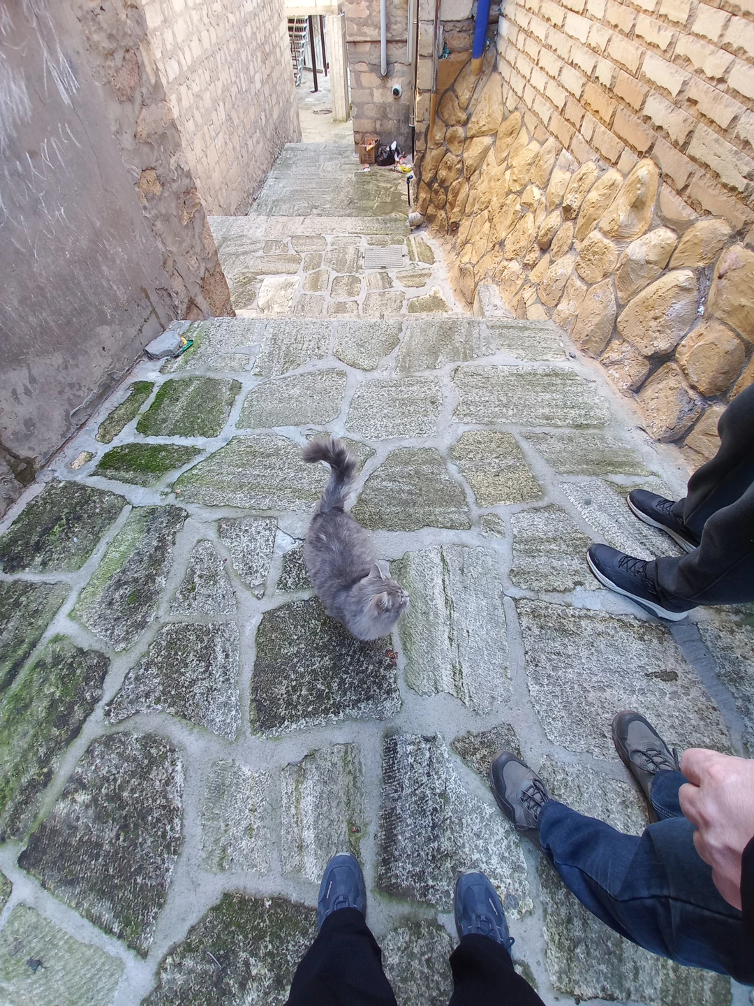 4 января побывали на интересной экскурсии. Оценили толщину и прочность крепостных стен, увидели зинданы, хранилища воды