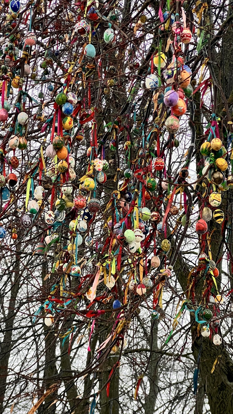 Были семьей на экскурсии с Владимиром. Время прошло на одном дыхании, плохая погода не была помехой.