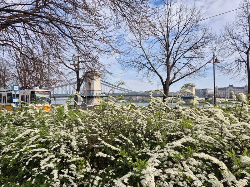 Будапешт вдоль и поперёк