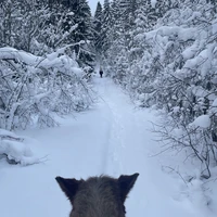 Фото отзыва 3: экскурсия "Прогулка на конях по неизведанной и заброшенной Карелии"