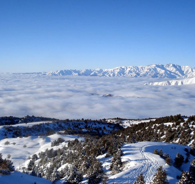 Дорога через облака: к перевалу Камчик и древнему Чадаку из Ташкента