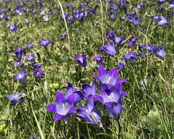 Прогулка к Аджарскому водопаду, обед у воды и завершение тура