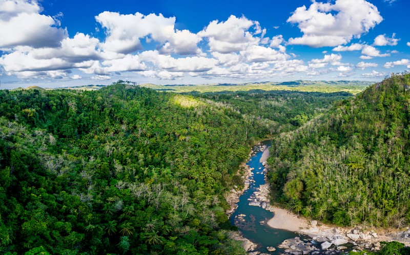 Бохол: день приключений в парке Danao Adventure