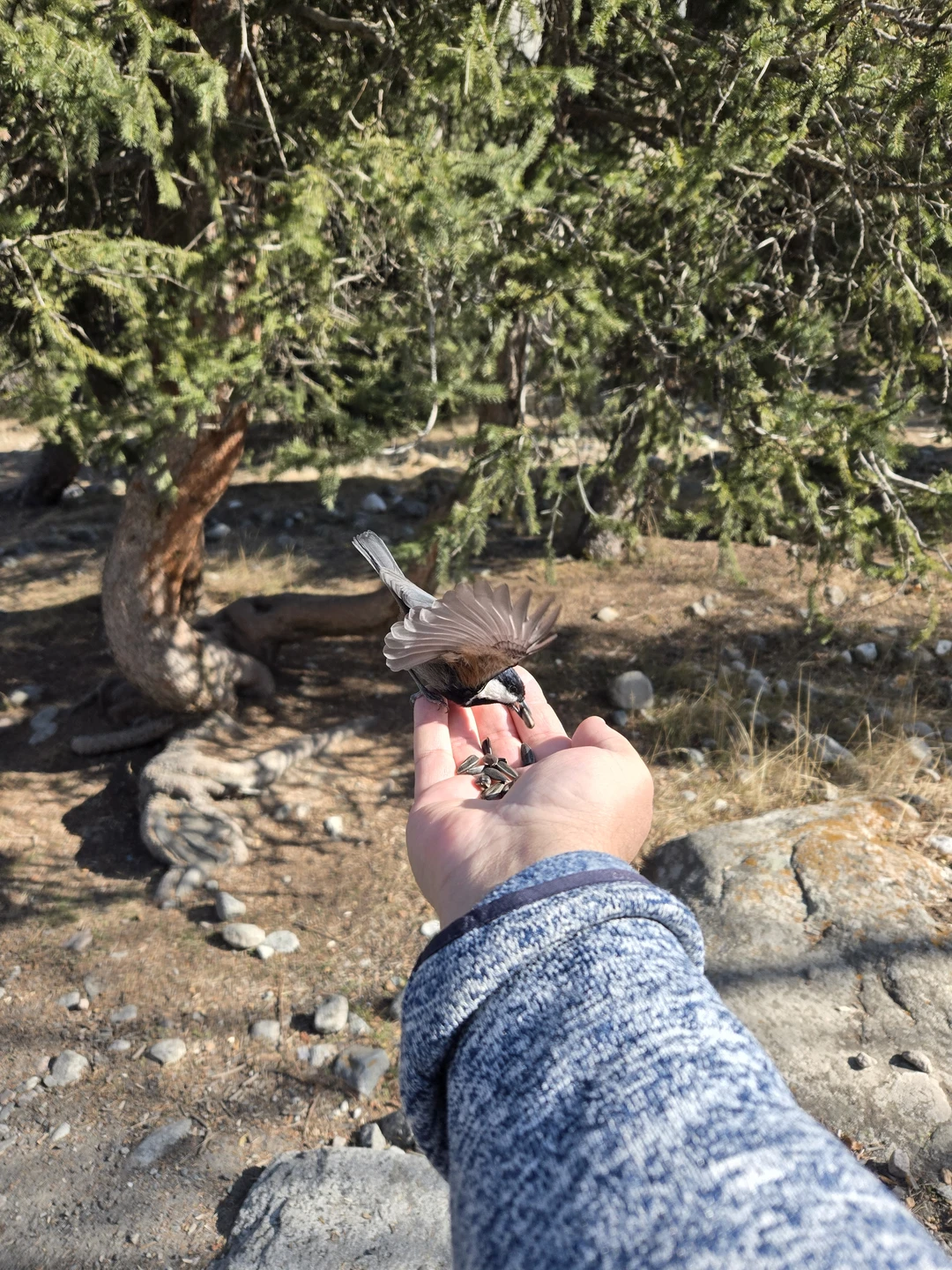 Всё прошло отлично, доверились Артёму и не прогадали. Получили удовольствие от поездки и новых для нас локаций!!!