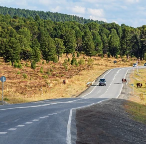 Семинский перевал