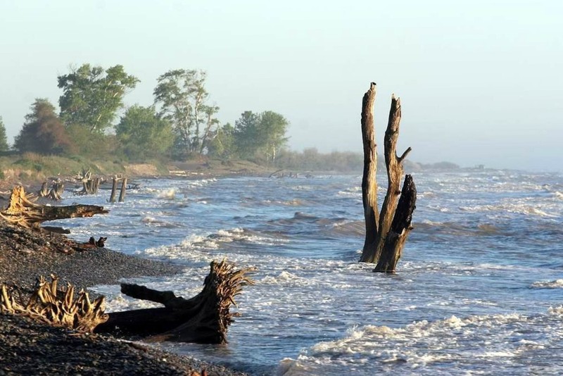 Самурский лиановый лес + экраноплан «Лунь»