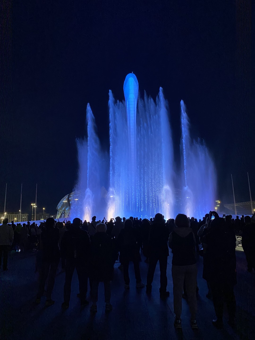 Отзыв об экскурсии Олимпийский парк в Сочи 04.04.2023г. с Антоном