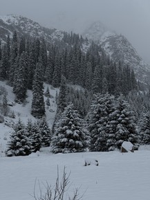 Фото отзыва 3: экскурсия "Тропами Кок-Мойнок к озеру легенд — из Бишкека"