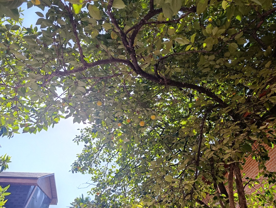 Незабываемое путешествие по Абхазии (Александра)