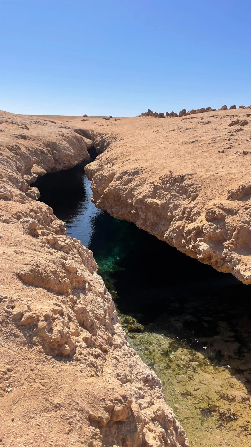 Прекрасная экскурсия по заповеднику!