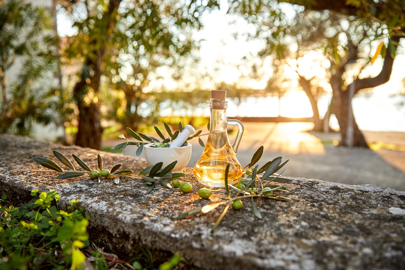 Дегустация оливкового масла и сыров на массерии