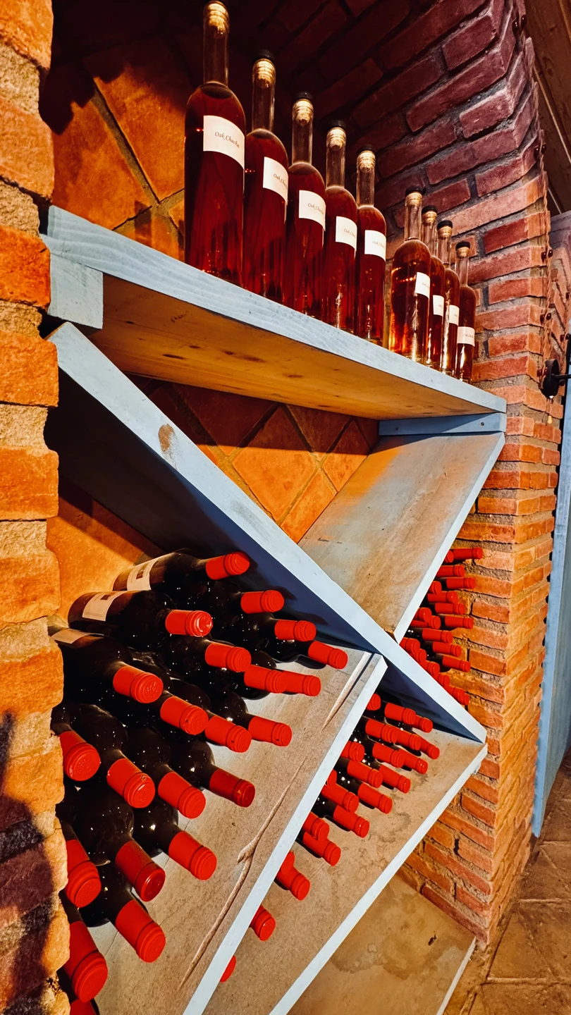 Кахетия: вино, легенды и красота (в группе) (Елена)