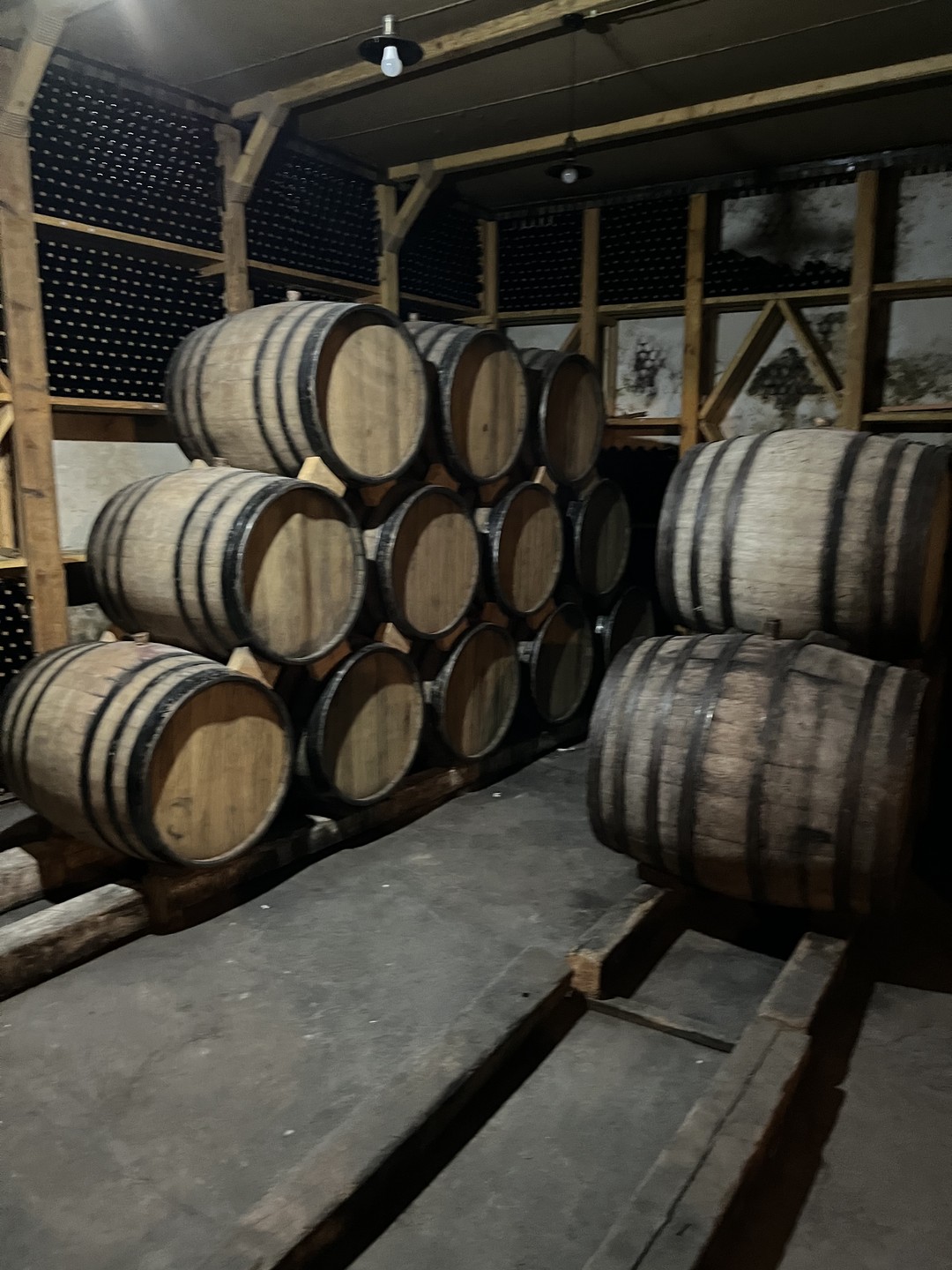 Посетили Армению первый раз. Предложений по экскурсиям очень много! Как выбрать гида? Нам очень повезло! Наш