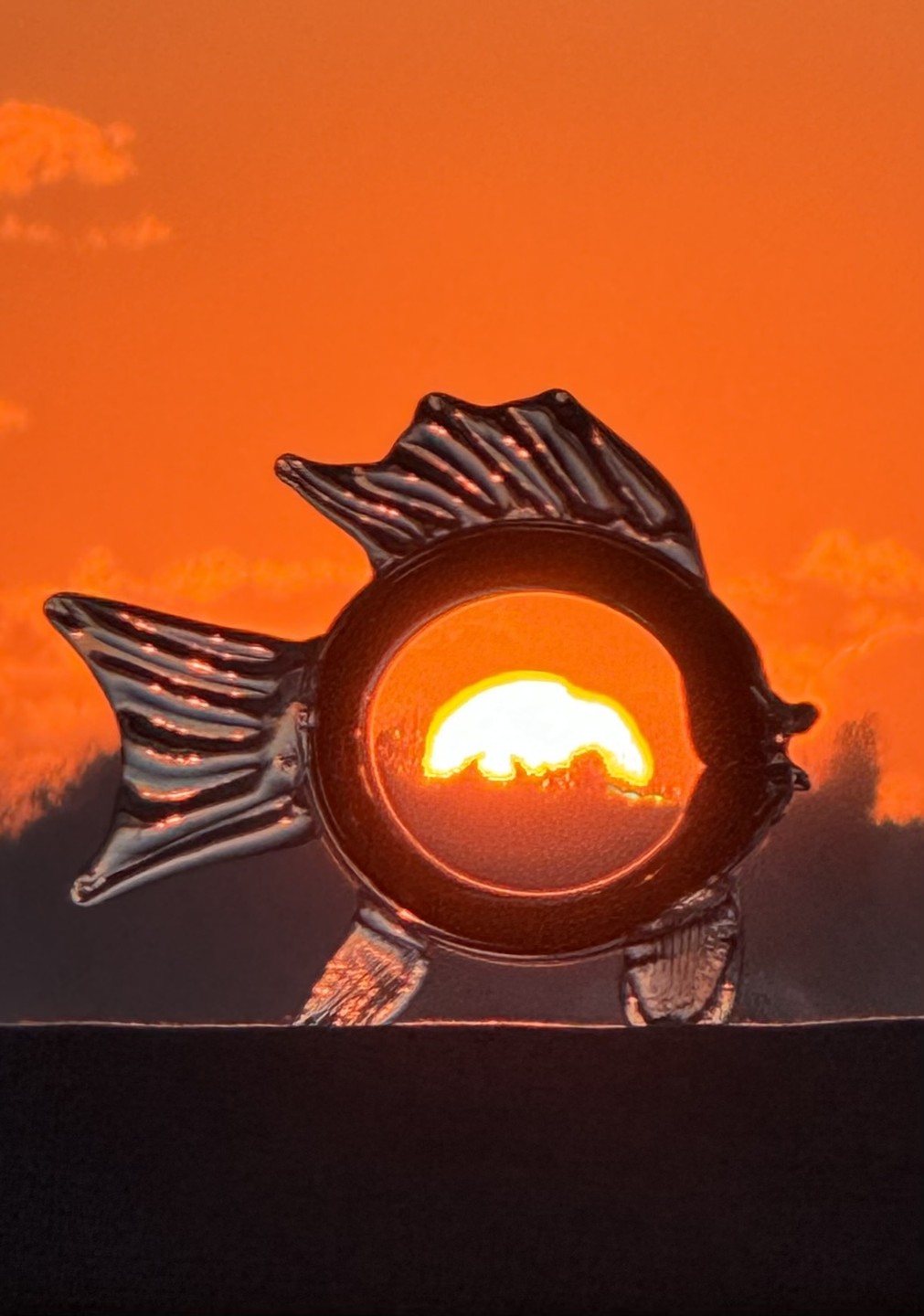 Сегодня был самый запоминающийся рассвет в моей жизни и сделала его таким не только удивительная природа