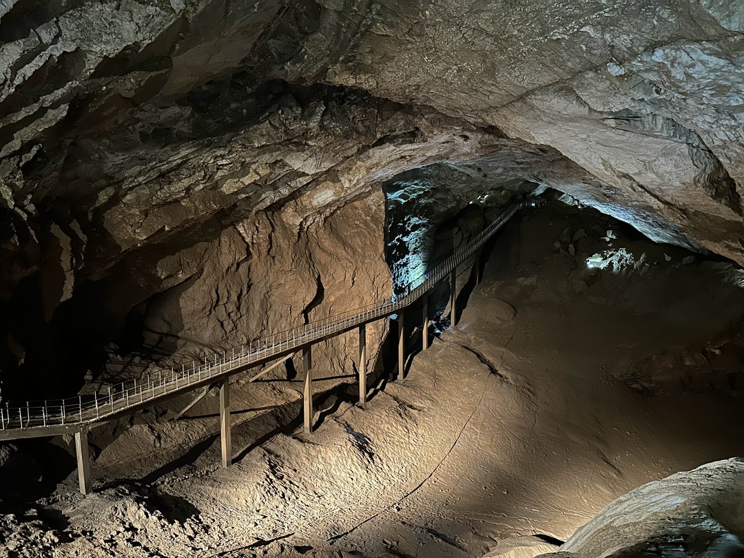 Путешествовали по Абхазии 22сентября с супругом, гид Дамэй все подробно рассказал, показал, сформировал самые лучшие воспоминания