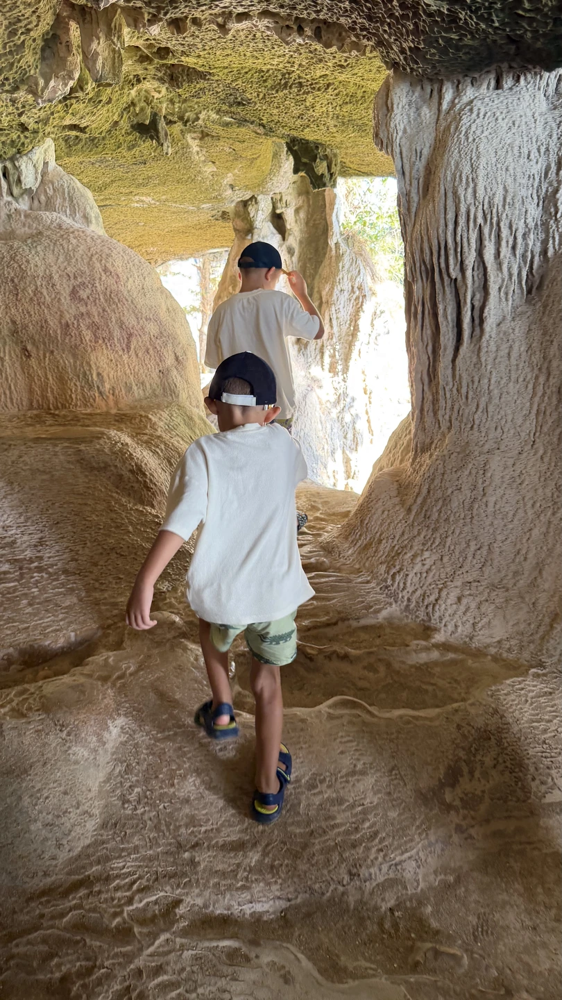 Хочу выразить огромную благодарность гиду Андрею за прекрасно организованную экскурсию! Всё было интересно, познавательно и очень