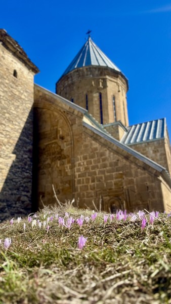Групповая поездка из Тбилиси - в Казбеги и Гудаури (Крис)