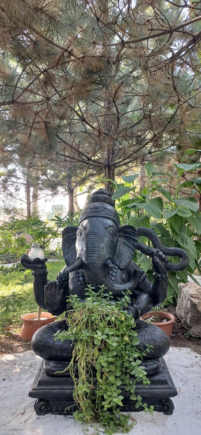 Прекрасное, умиротворяющее место, недалеко от Ташкента. Виноградники, сады и любое вино на ваш вкус! Спасибо за