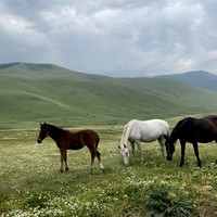 Фото отзыва 2: экскурсия "Плато Ассы, озеро Иссык и водопад: комфорт-маршрут, джипы, мини-группа"